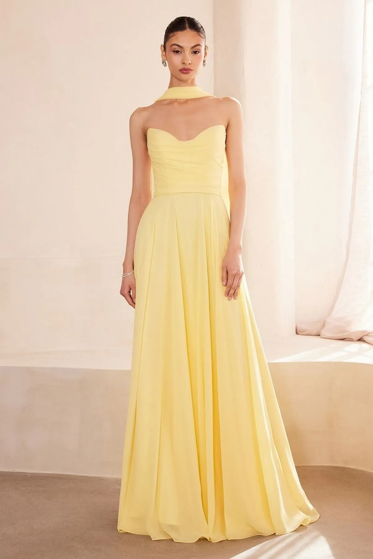 Ladivine Amoris T703 Dress Strapless A-Line Bridesmaid Gown