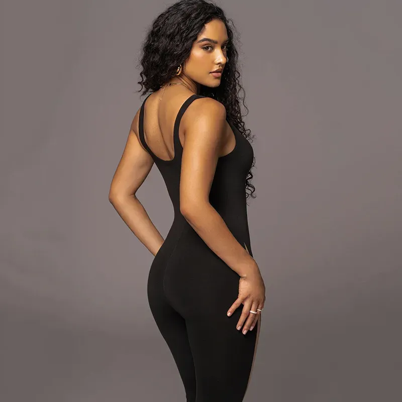 Morgan Sleeveless Sheer Mesh Panel Bodycon Jumpsuit