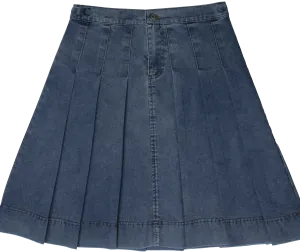 Wide pleated light blue skirt by Crew Basics